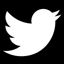 Twitter Profile